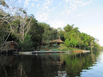 Delfin Amazon Lodge